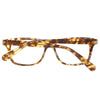 Gant Brown Plastic Frames