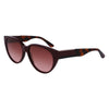 Lacoste Outfito.ae