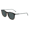 Lacoste Outfito.ae