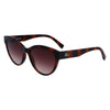 Lacoste Outfito.ae