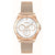 Hugo Boss Gold Stainless Steel Watch