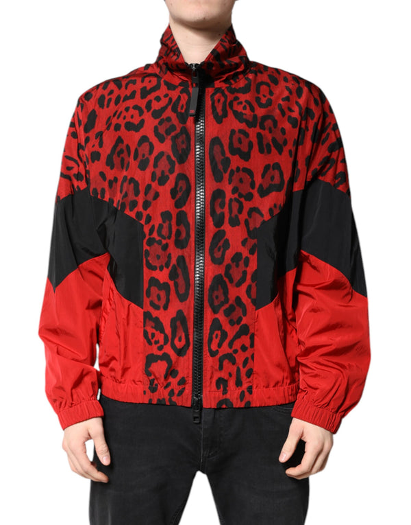 Dolce & Gabbana Logo Outfito.ae
