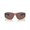 Arnette Red Resin Sunglasses