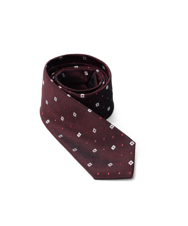 Dolce & Gabbana Bordeaux Silk Ty