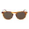 David Beckham Brown Men Sunglass