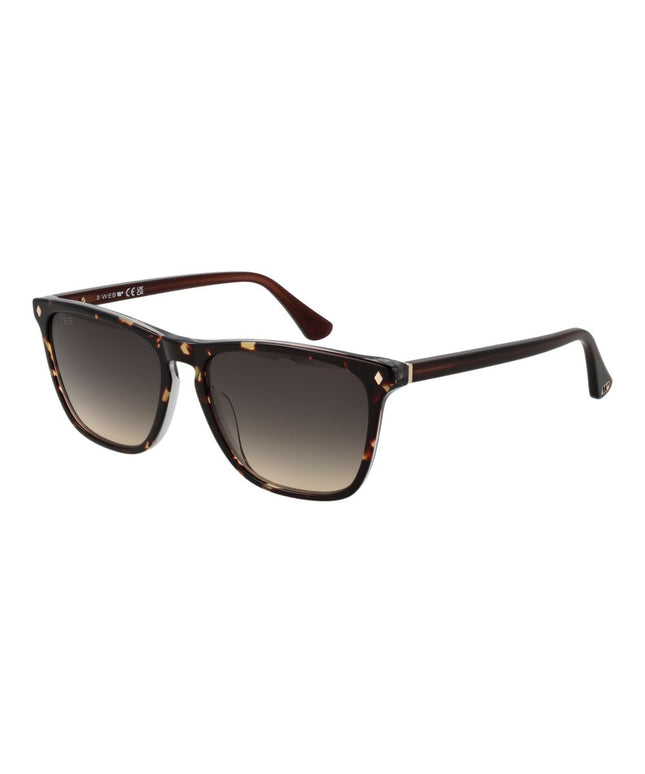 Web Brown Men Sunglass
