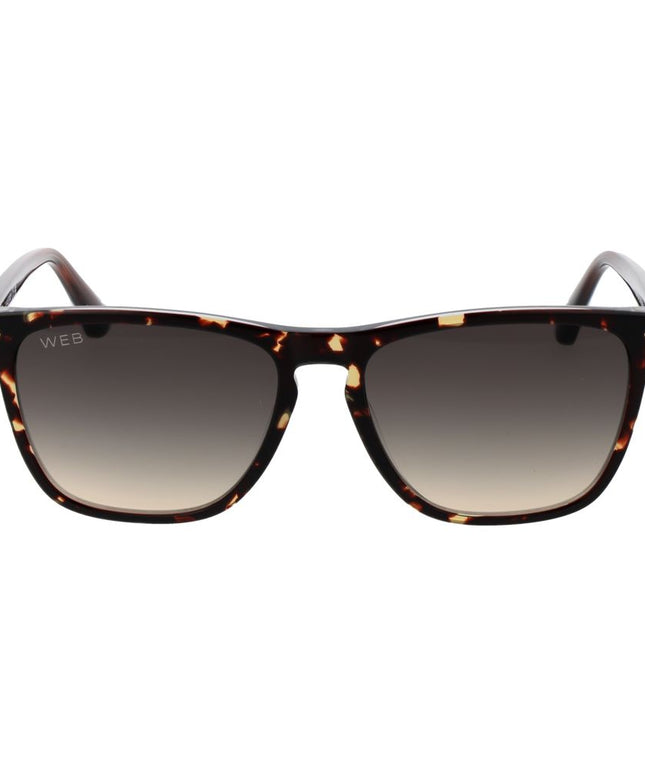 Web Brown Men Sunglass