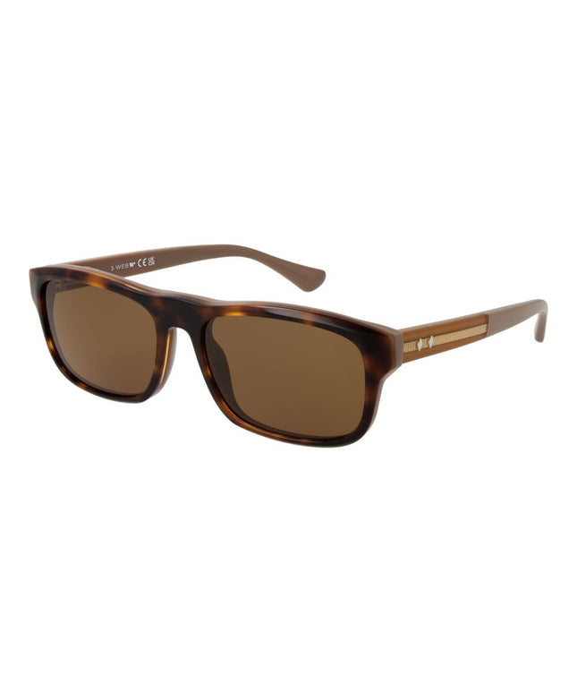 Web Brown Men Sunglass