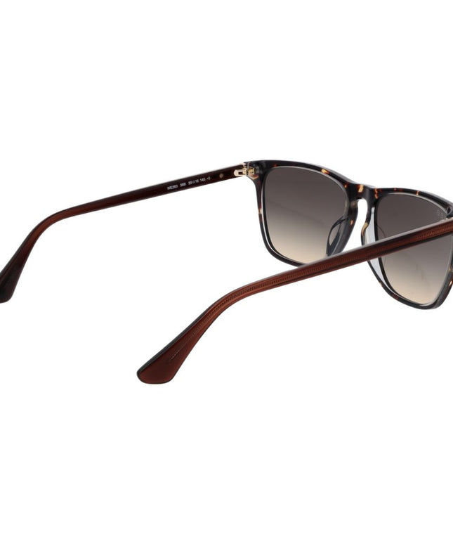 Web Brown Men Sunglass