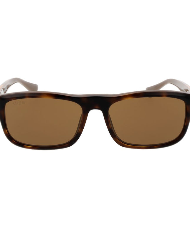Web Brown Men Sunglass