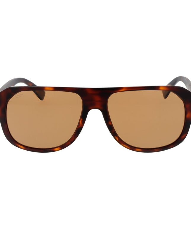 Serengeti Brown Men Sunglass