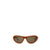 Bottega Veneta Brown Acetate Sunglass