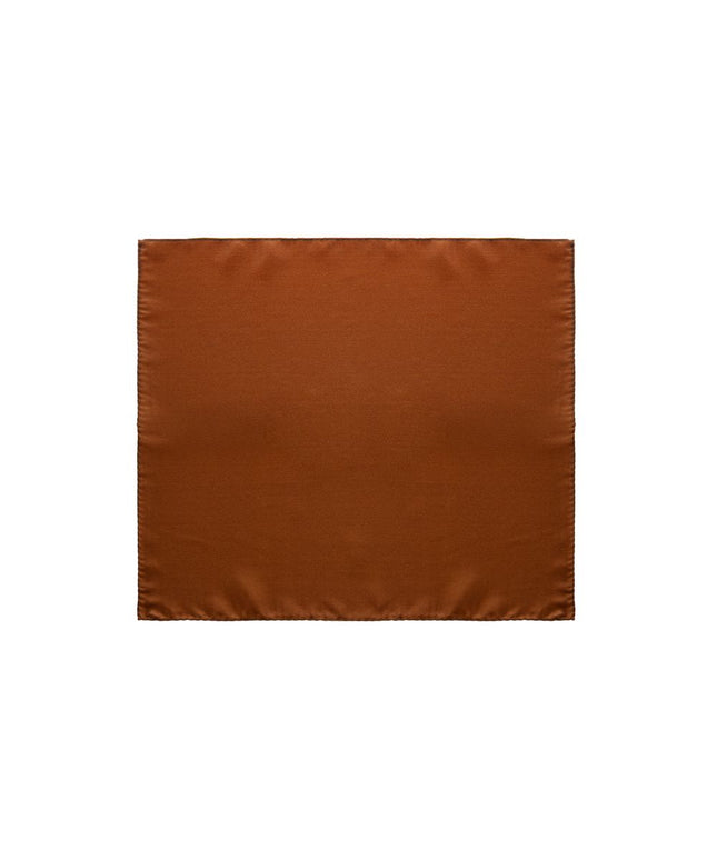 Dolce & Gabbana Brown Silk Pocket Square