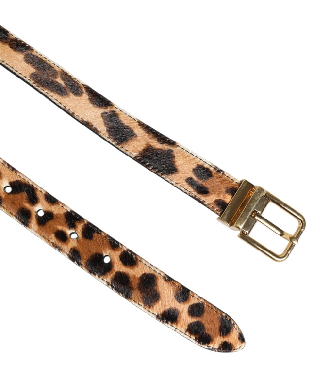 Dolce & Gabbana Brown Leather Leopard Print Metal Buckle Belt