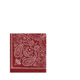 Destin Bandana Scarf