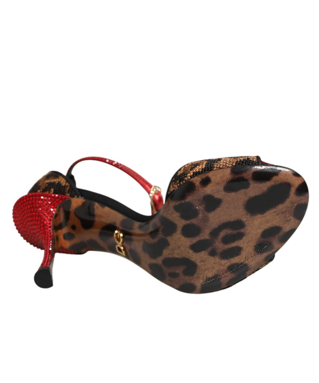 Dolce & Gabbana Brown Leopard Crystal Roses Sandals Shoes