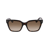 Lacoste Brown Acetate Sunglasses