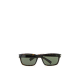 Saint Laurent Brown Acetate Sunglasses